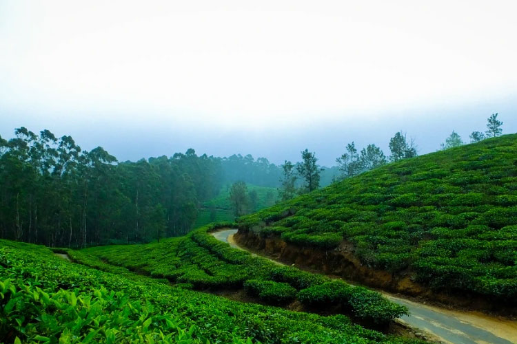 Kerala