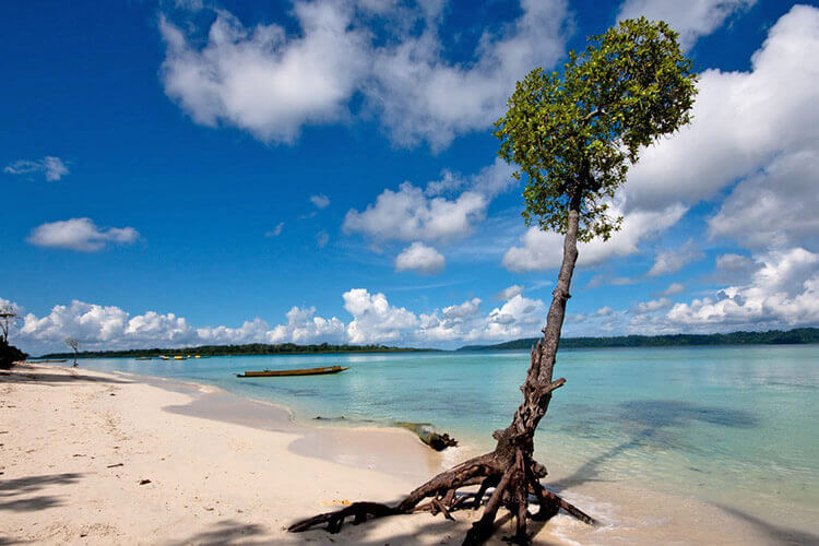 Port Blair 3N