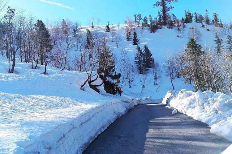 Manali