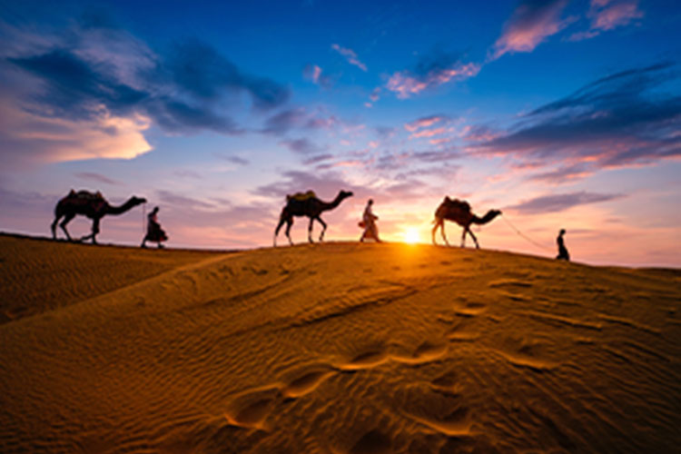 Delhi 1N | Jodhpur 1N | Jaisalmer 3N