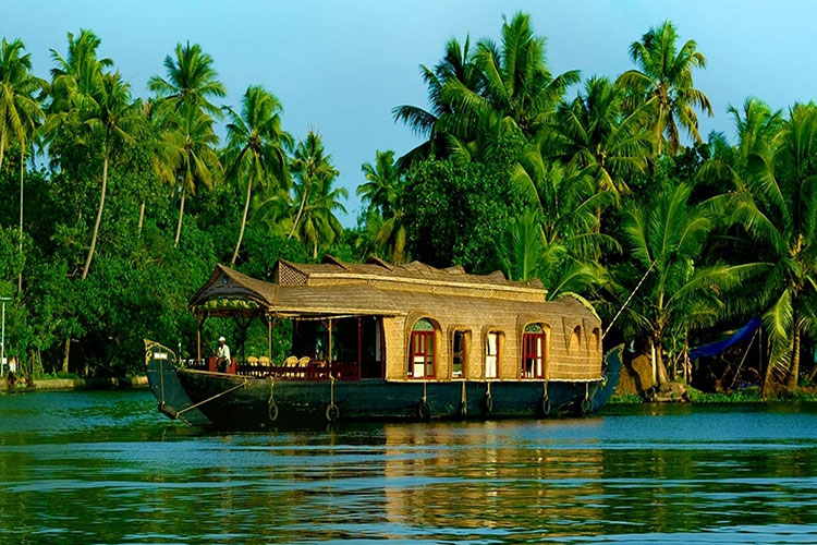 Munnar 3N| Thekkady 1N| Kumarakom 1N| Alleppey 1N| Kovalam 2N