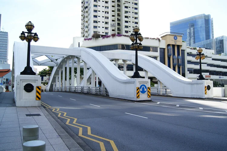 Singapore Delight 4
