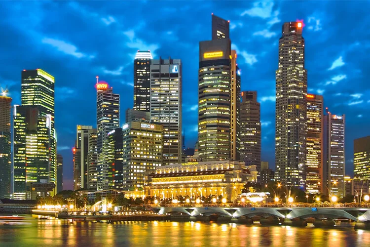 Singapore Delight