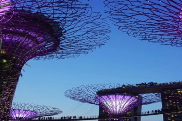 Singapore Delight 3