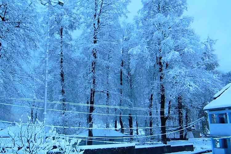 Himachal