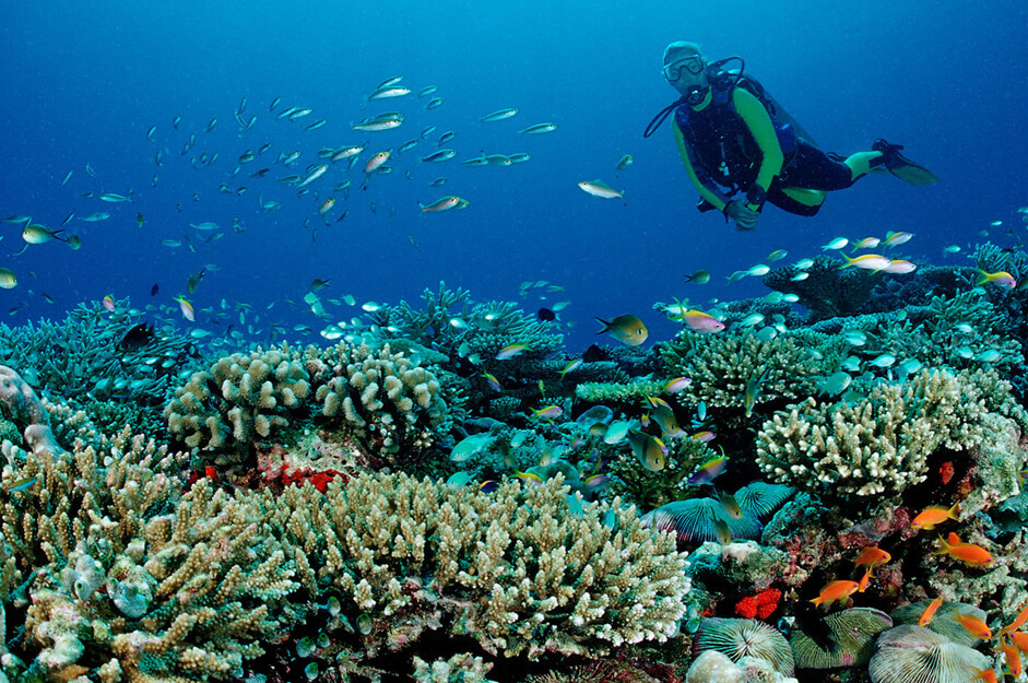 Kurumba Maldives 5