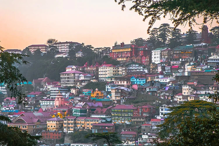 Shimla 3